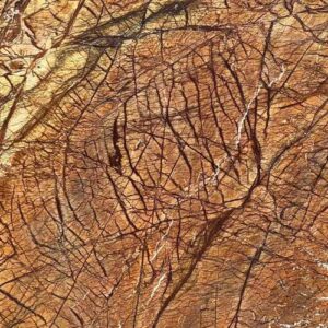 Rainforest Brown Mable